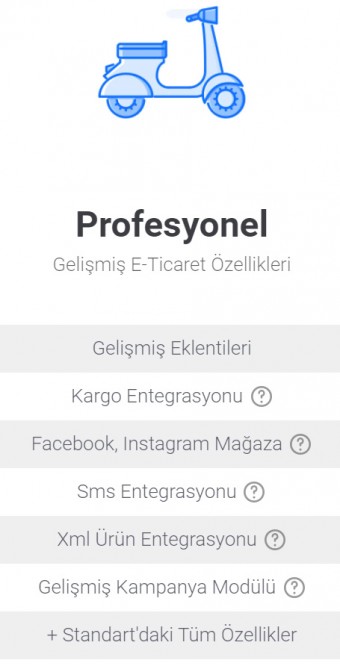 Profesyonel 